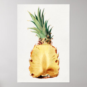 Ananas in halber Fruchtwasser-Aquarellmalerei gesc Poster