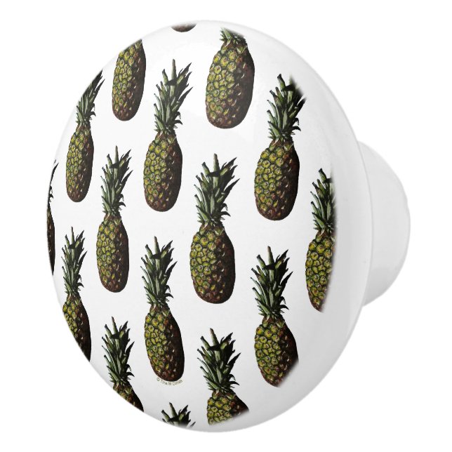 Ananas Knobs Keramikknauf (Rechts)
