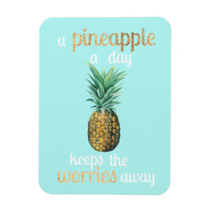 Ananas Lebensquote Magnet