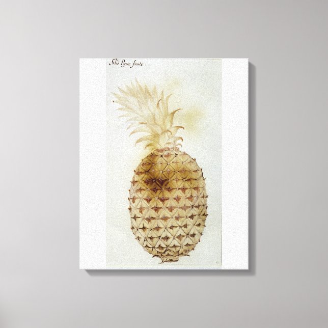 Ananas Leinwanddruck (Vorderseite)