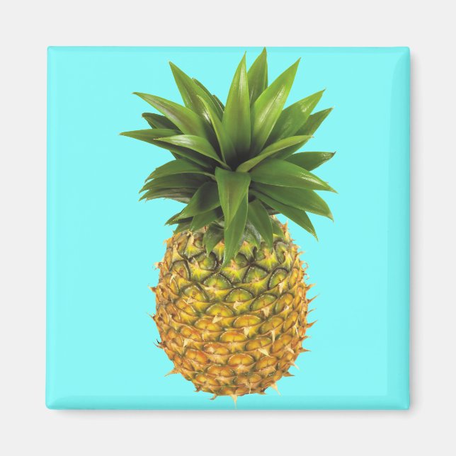 Ananas Magnet (Vorne)