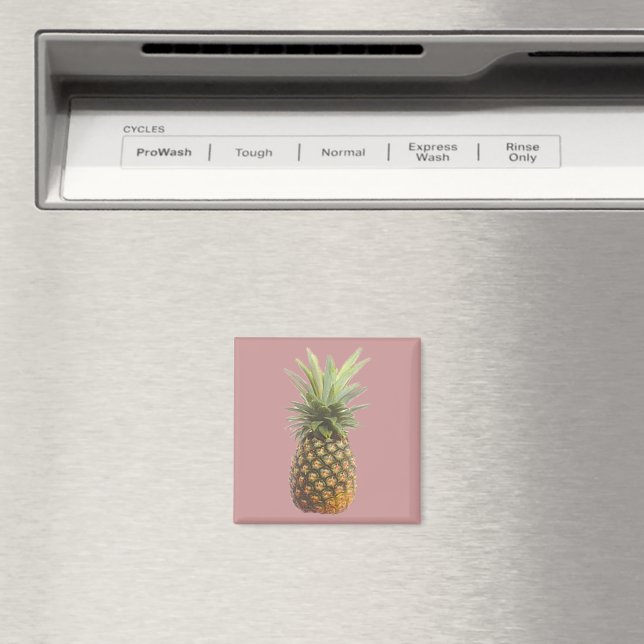 Ananas Magnet (In Situ (Geschirrspüler))