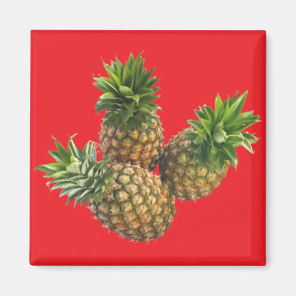 Ananas Magnet