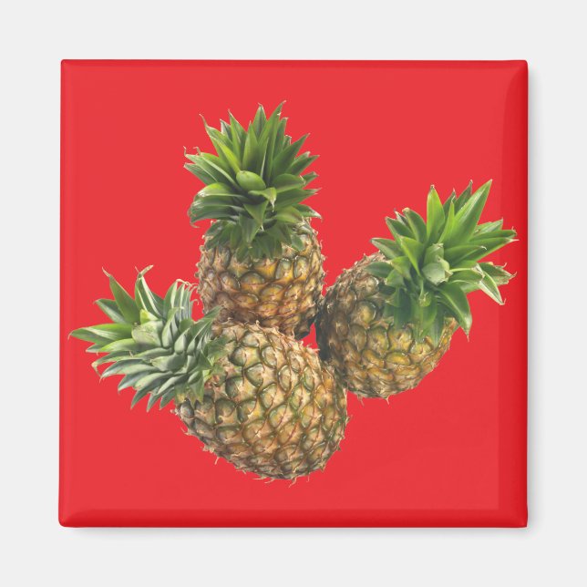 Ananas Magnet (Vorne)