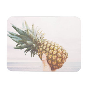 Ananas Magnet