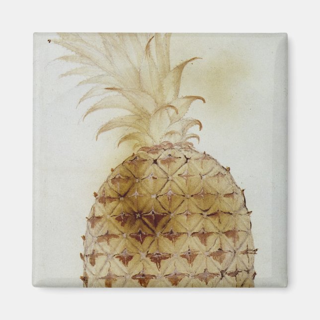 Ananas Magnet (Vorne)