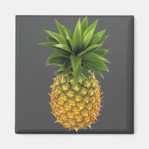 Ananas Magnet