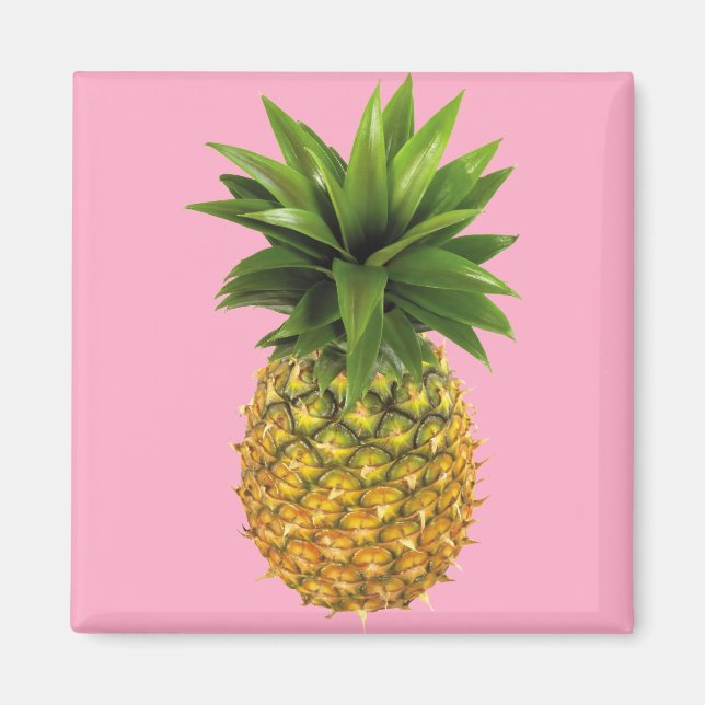 Ananas Magnet (Vorne)