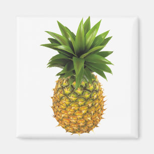 Ananas Magnet