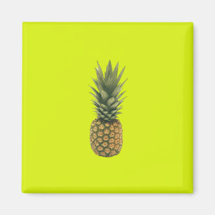 Ananas Magnet