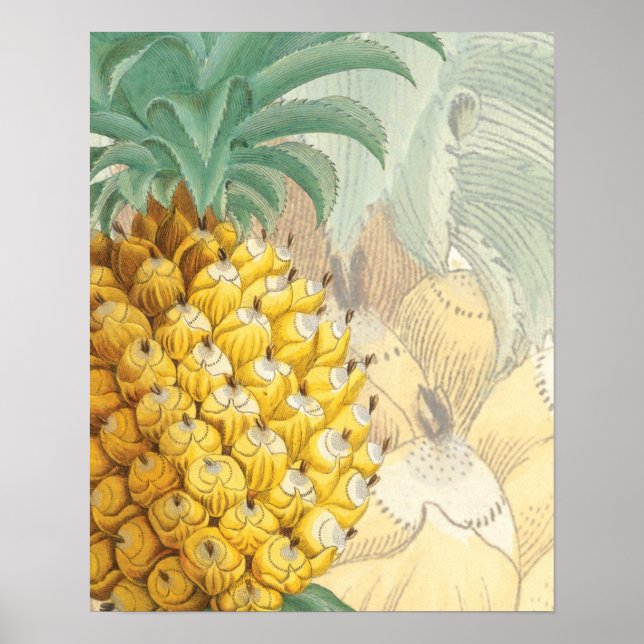 Ananas mit Erweiterung Poster (Vorne)
