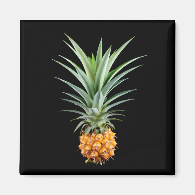 Ananas mit großen Haaren auf schwarzem Hintergrund Magnet (Vorne)