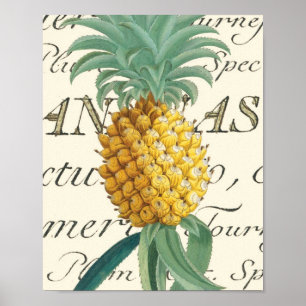Ananas mit kalligraphischem Detail Poster