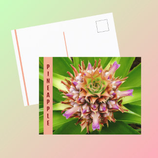 Ananas-Pflanze Botanische Fotografie Postkarte