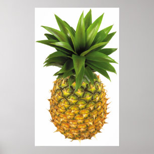Ananas Poster