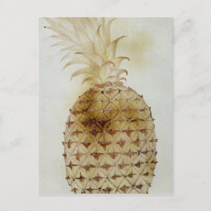 Ananas Postkarte