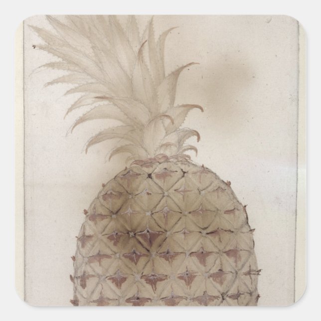 Ananas, Quadratischer Aufkleber (Vorderseite)