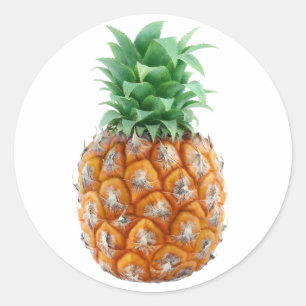 Ananas Runder Aufkleber