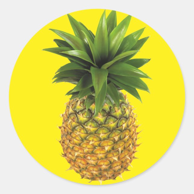 Ananas Runder Aufkleber (Vorderseite)
