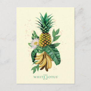 Ananas-Suite im Weißen Lotus Postkarte