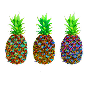 Ananas T-Shirt