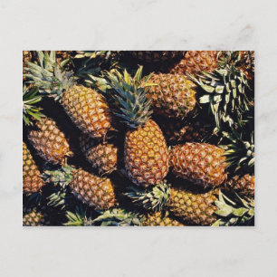 Ananas, Tulum, Mexiko Postkarte