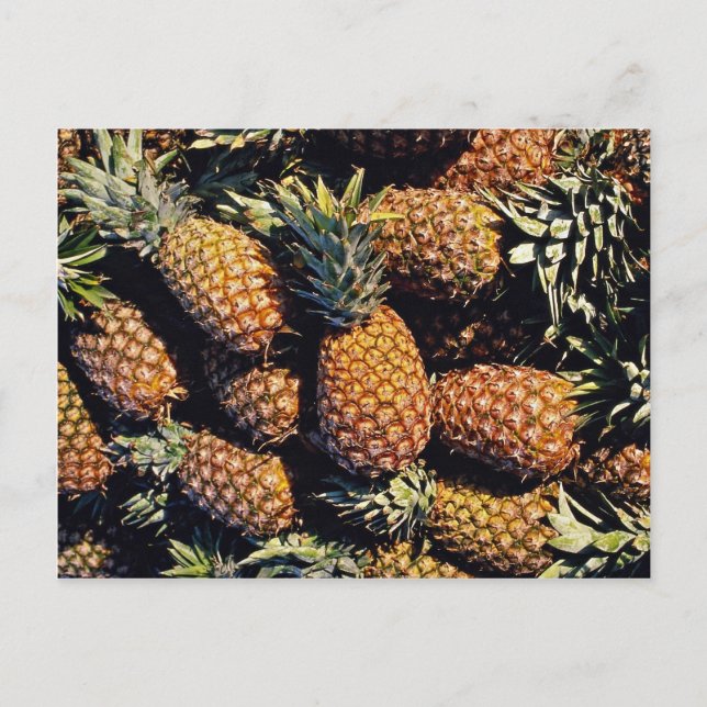 Ananas, Tulum, Mexiko Postkarte (Vorderseite)