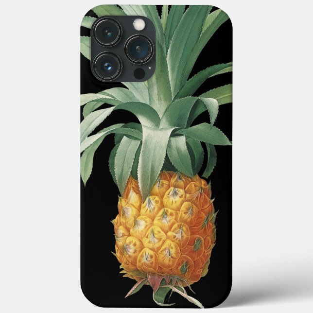 Ananas Vintag tropisches botanisches Case-Mate iPhone Hülle (Rückseite)