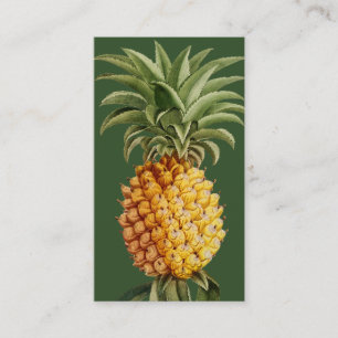 Ananas Visitenkarten - Vintage Botanisch Visitenkarte