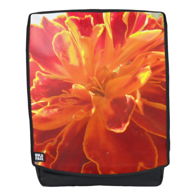 Anastaise Rucksack (Vorderseite)