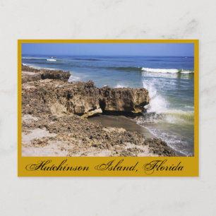 Anastasia Formation, Hutchinson Island, Florida Postkarte