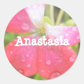 Anastasia Mädchenname Amaryllis Aufkleber