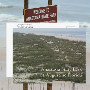 Anastasia State Park St Augustine FL Photographic Postkarte