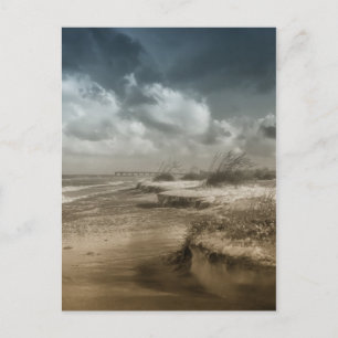 Anastasie 2 postkarte