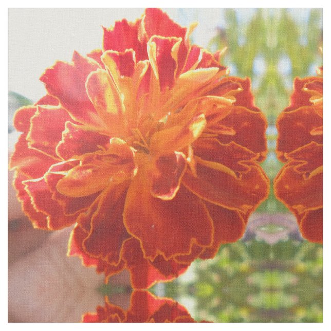 Anastasie Stoff (Nahaufnahme)