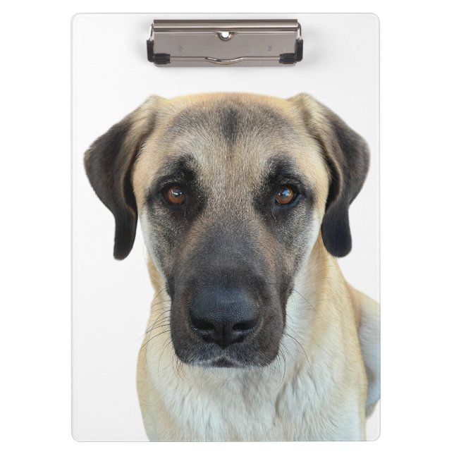 Anatolian Shepherd Clipboard Klemmbrett (Vorderseite)