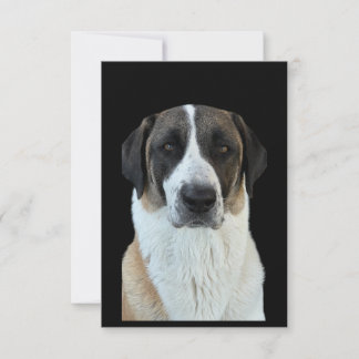 Anatolian Shepherd Danke-Card Dankeskarte