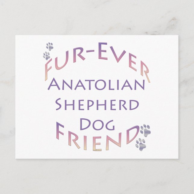 Anatolian Shepherd Dog Furever Postkarte (Vorderseite)