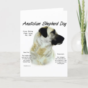 Anatolian Shepherd Dog History Design Feiertagskarte