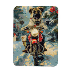 Anatolian Shepherd Dog Riding Motorrad Weihnachten Magnet