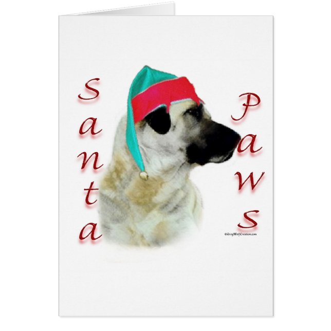 Anatolian Shepherd Dog Santa Paws (Vorne)
