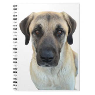 Anatolian Shepherd Dog Spiral Notebook Notizblock