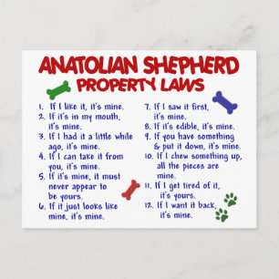 ANATOLIAN SHEPHERD Property Laws 2 Postkarte