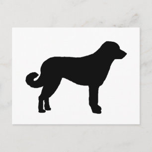 Anatolian Shepherd silo black.png Postkarte