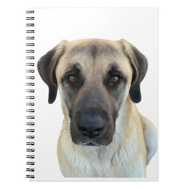 Anatolian Shepherd Spiral Notebook Planner Notizblock (Vorderseite)