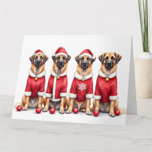 Anatolian Shepherd Weihnachtskleid Santa Hut Karte