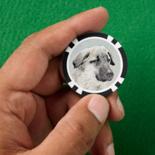 Anatolische Hirtenmalerei - Originelle Hundekunst Pokerchips