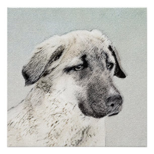 Anatolische Hirtenmalerei - Originelle Hundekunst Poster