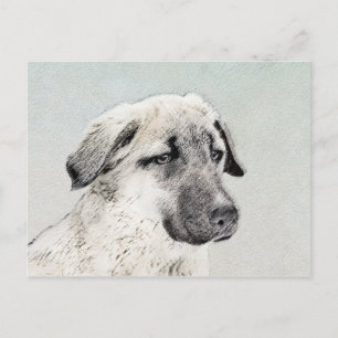 Anatolische Hirtenmalerei - Originelle Hundekunst Postkarte