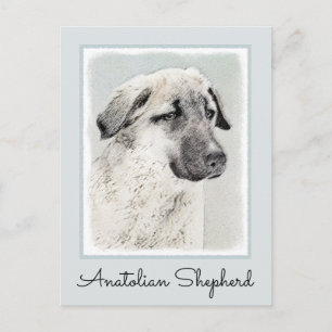 Anatolische Hirtenmalerei - Originelle Hundekunst Postkarte